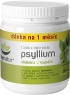 Topnatur Psyllium 250 kapslí