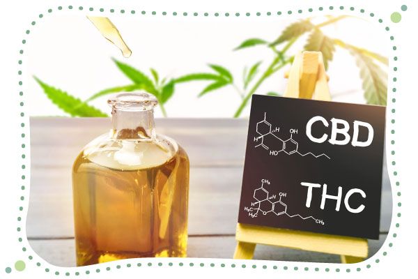cbd, thc, rozdíly