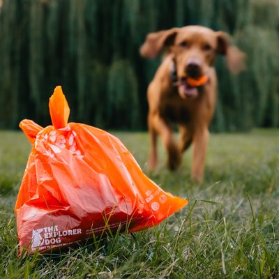Explorer dog Sáčky recyklované na psí hovínka 4 x 15 ks