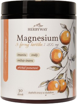 Herbyway Magnesium 3 formy Hořčíku 1 200 mg, příchuť pomeranč