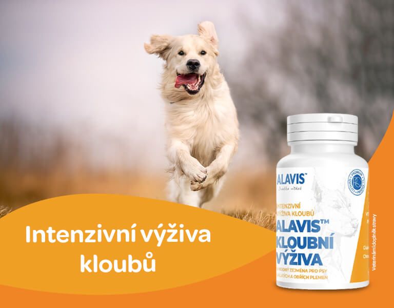 ALAVIS Kloubní výživa pro psy 90 tablet, banner
