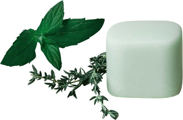 laSaponaria Tuhý deodorant Himalaya BIO 40 g