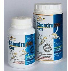 Chondrocan Forte 500g