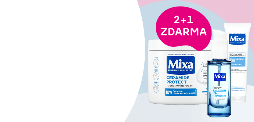 2+1 zdarma