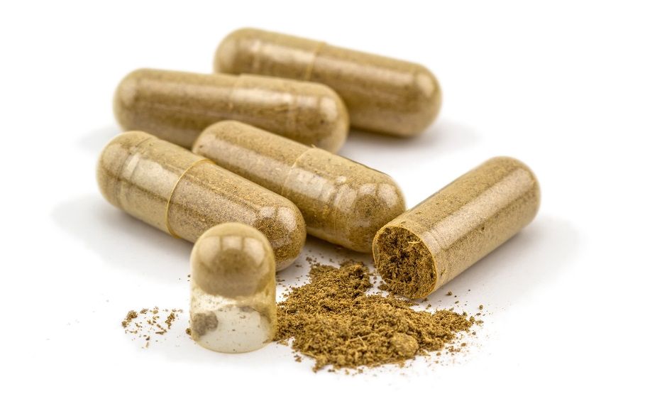 terezia reishi, 100% prírodné, vegan, bio, cievy, srdce, z celej huby Reishi, obranyschopnost organismu, srdce, cievy