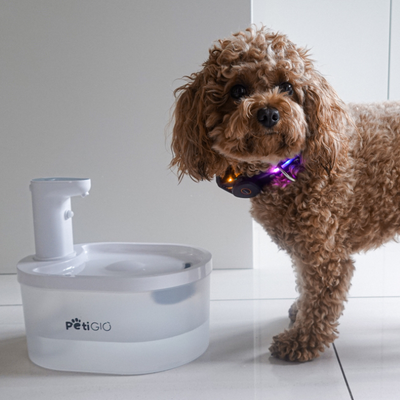 PetiGIO Peti-to-Eat automatická fontána pro domácí mazlíčky plast