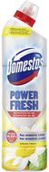 Domestos Power Fresh Spring WC gel 700 ml