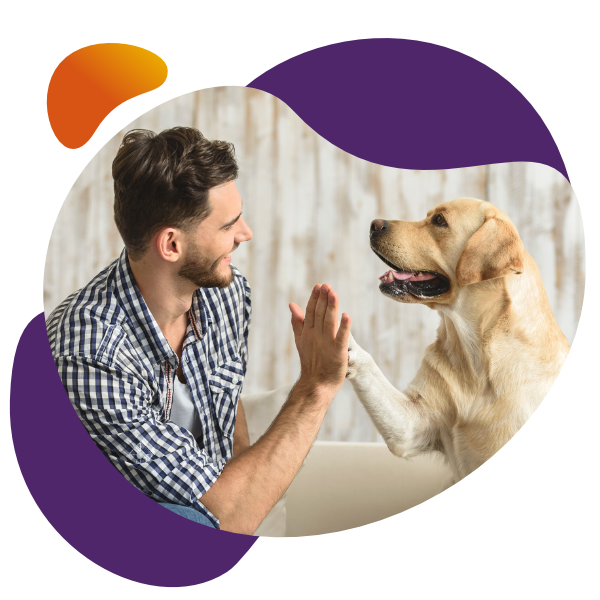 Flexadin Adult Dog