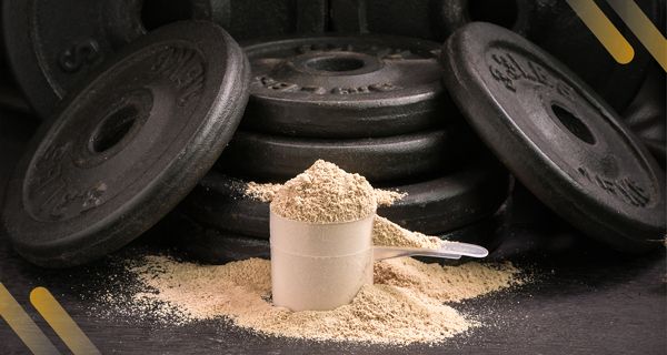 Jak vybrat gainer