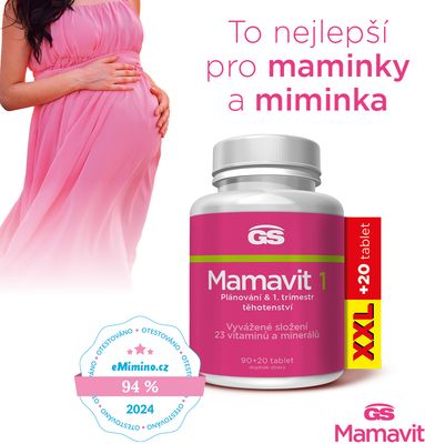 GS Mamavit 1 Plánování a 1. trimestr 110 tablet