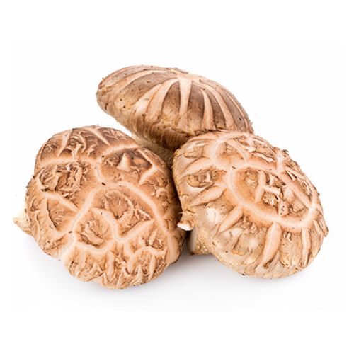 Organic Mushroom, Natures aid, zmes 5 liečivých húb, imunita, protinádorové účinky, Shiitake (Lentinus edodes)