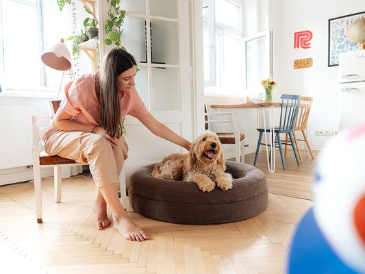 Explorer dog Pelech ortopedický Dognut Espresso Brown 100 cm