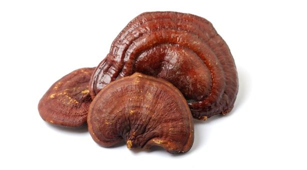 terezia reishi, 100% prírodné, vegan, bio, cievy, srdce, z celej huby Reishi, obranyschopnost organismu, srdce, cievy