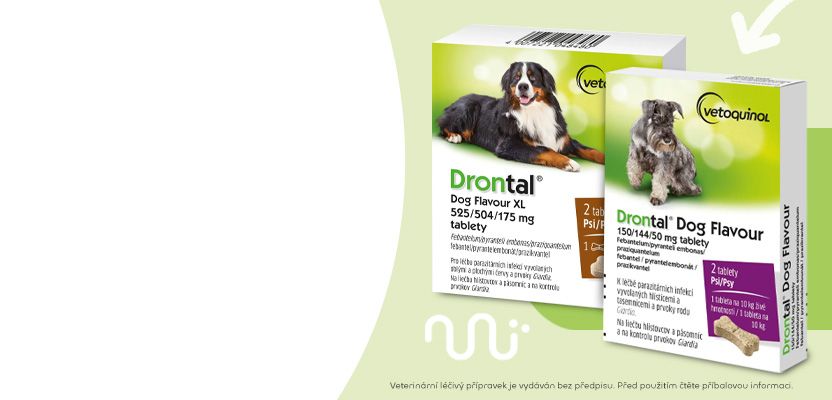 Drontal