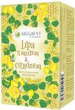 Megafyt Ovocný Lípa s medem a citrónem 20 x 2 g
