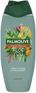 Palmolive Forest Edition Aloe You sprchový gel 500 ml
