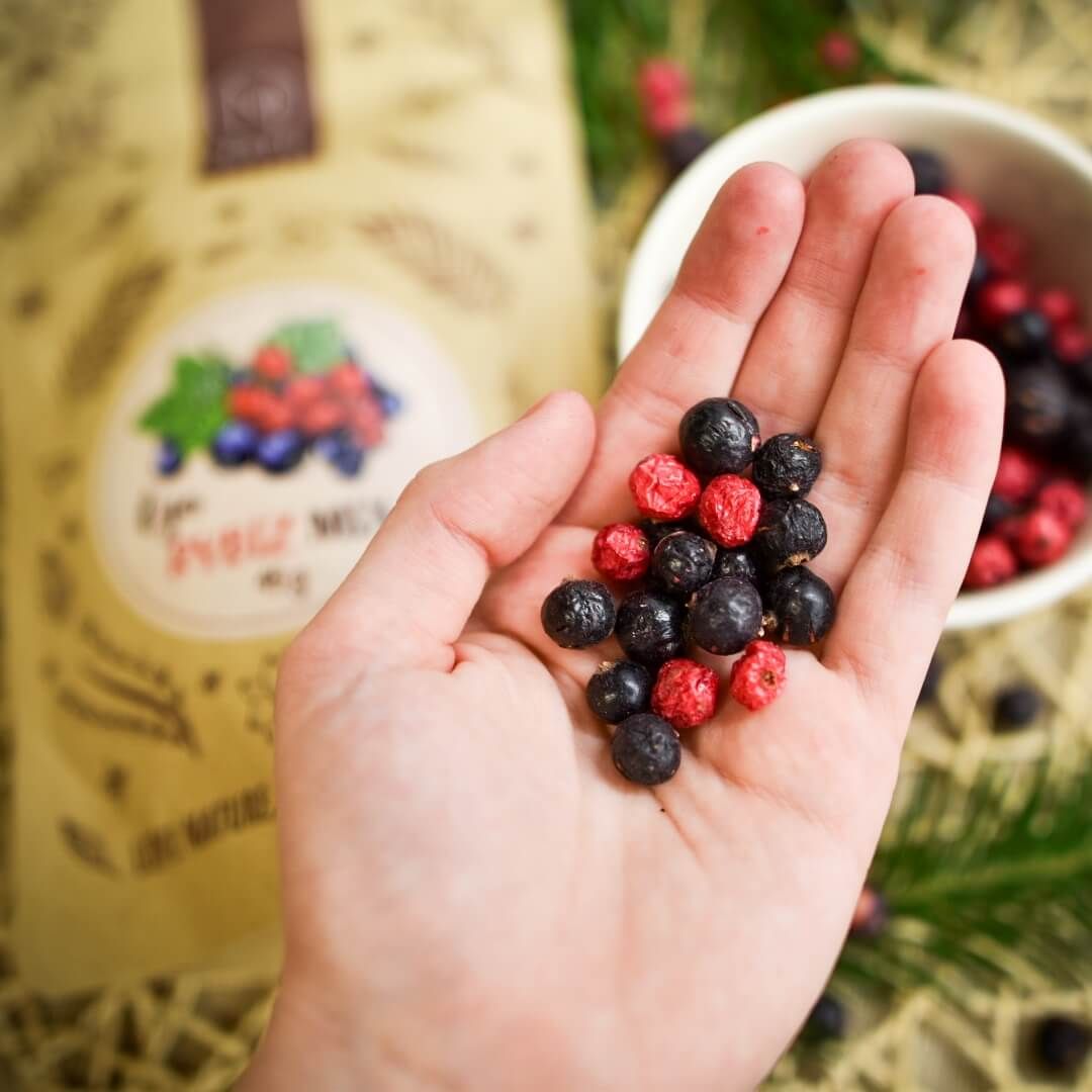 Natu Lyo mix rybíz 45 g