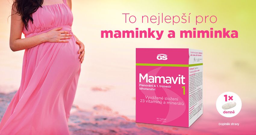 GS Mamavit 1 Plánování a 1.trimestr
