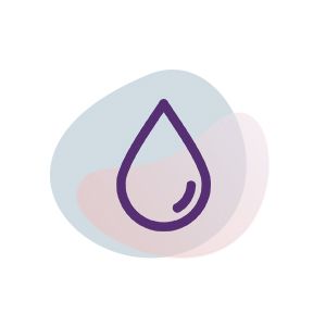 ikona