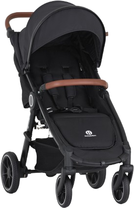 Petite&Mars Kočárek sportovní Street2 RWS Oak Perfect Black