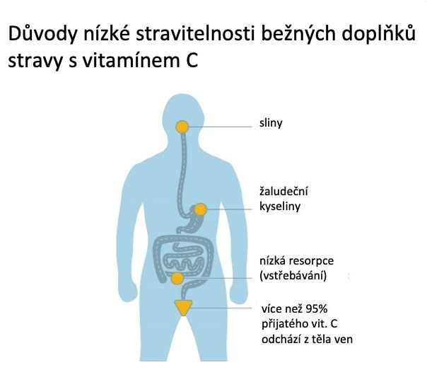 stravitelnost