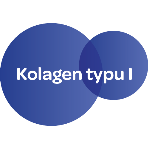 Dias forte kolagen, pro zdravé kosti,klouby, chrupavky, s příchutí granátového jablka, Kolagen typu I