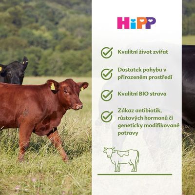 HiPP BIO Brambory, zelenina a hovězí maso, od 8. měsíce, 220 g