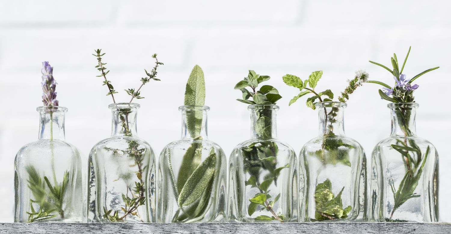 proč právě přírodní medicína