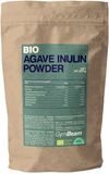 GymBeam BIO Agáve inulin v prášku 250 g