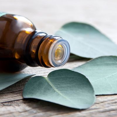 Tierra Verde Esenciální olej BIO Eukalyptus 10 ml