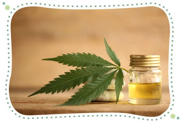 cbd účinky