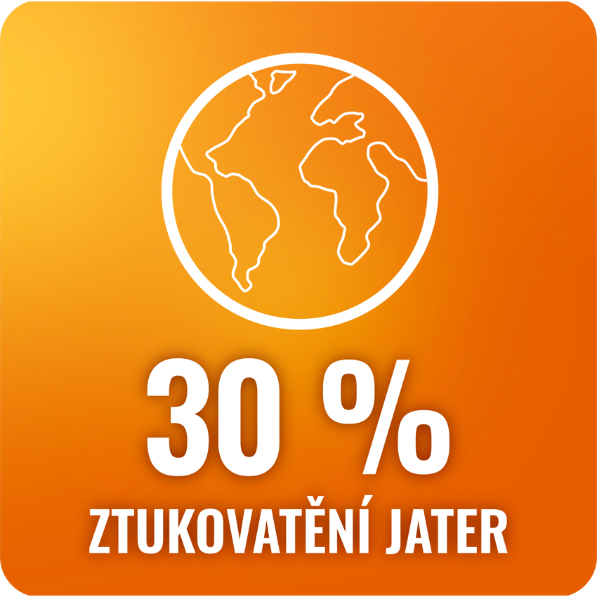 ztukovateni jater