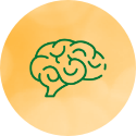 mozek