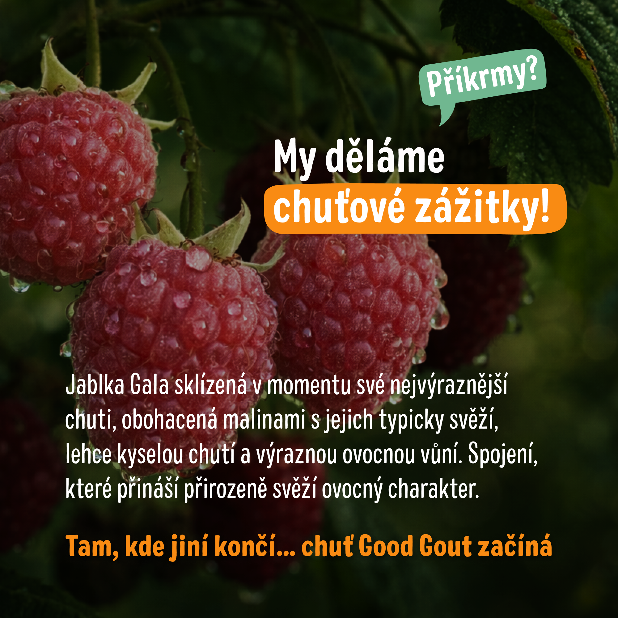Good Goût BIO Jablko s malinou 120 g