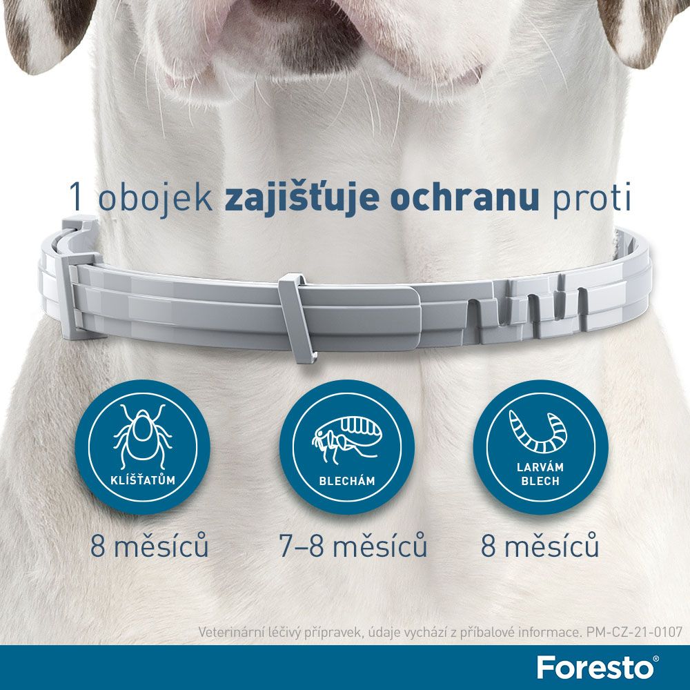 Foresto Obojek pro psy nad 8 kg 70 cm