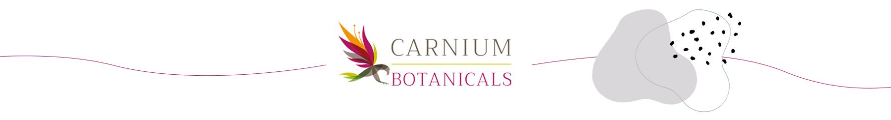 Aktivní uhlí, fenykl, Carnium Botanicals, zažívání, trávení, plynatost
