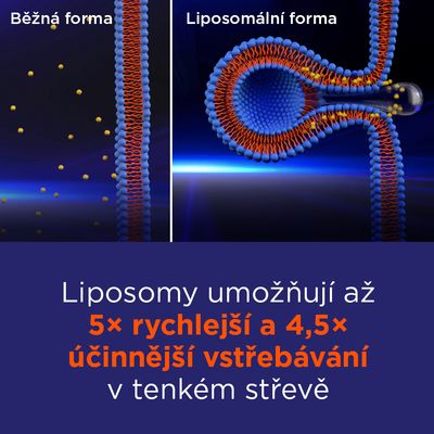 GS Vitamin Lipo D3, 1000 IU 70 kapslí