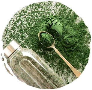 Chlorella