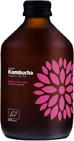 Vigo Kombucha | Mango + maracuja BIO
