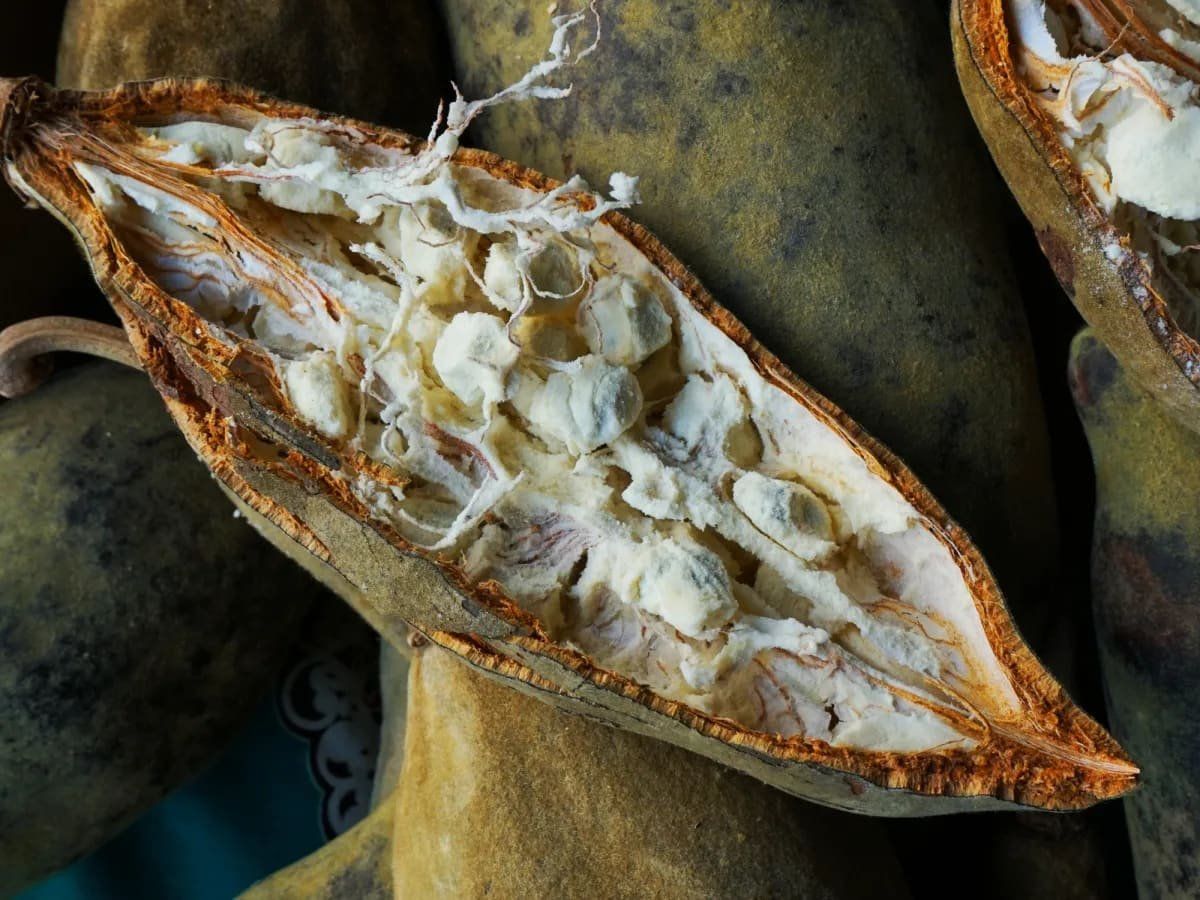Natios Baobab BIO prášek 100 g