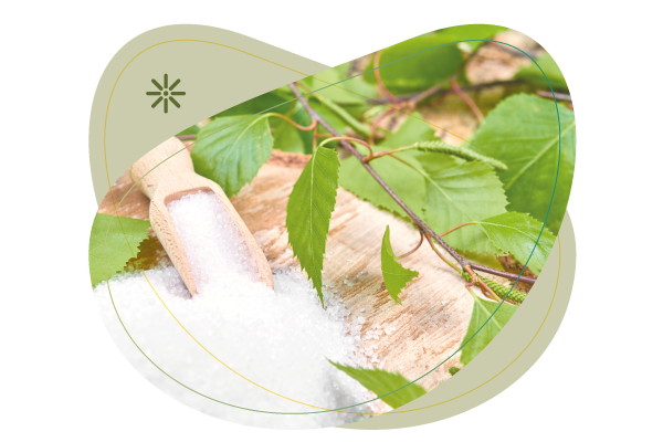 Aporosa,xylitol, brezovy cukr,diabetik