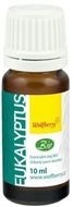 Wolfberry Esenciální olej Eukalyptus BIO 10 ml