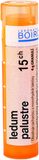 Boiron Ledum Palustre 15CH granule 4 g