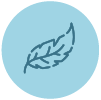Pleny