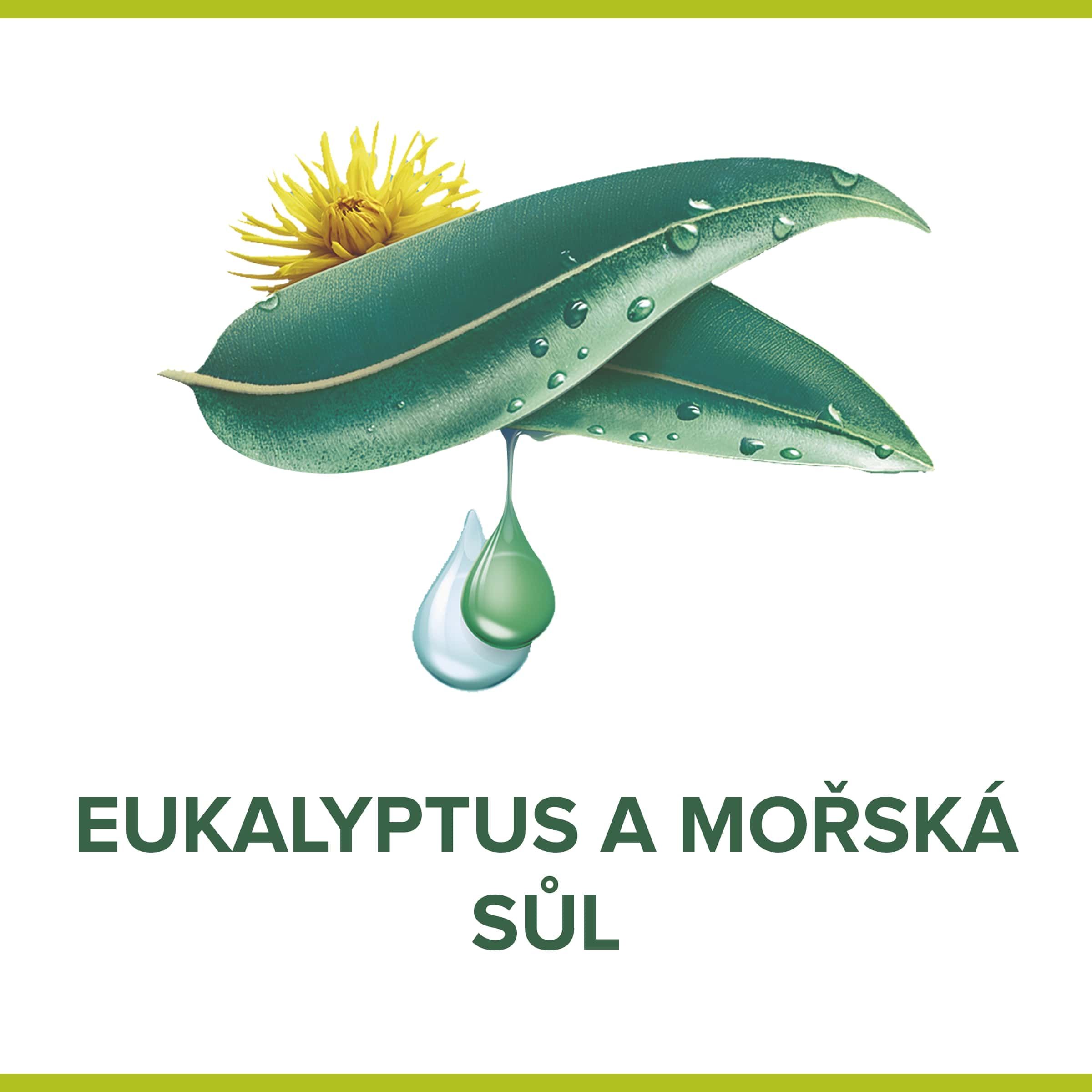 eukalyptus sůl