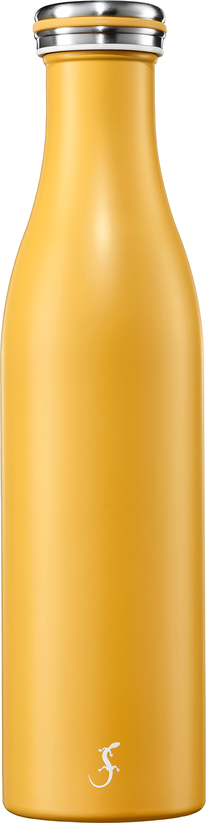 Lurch Trendy termo láhev lemonade 750 ml