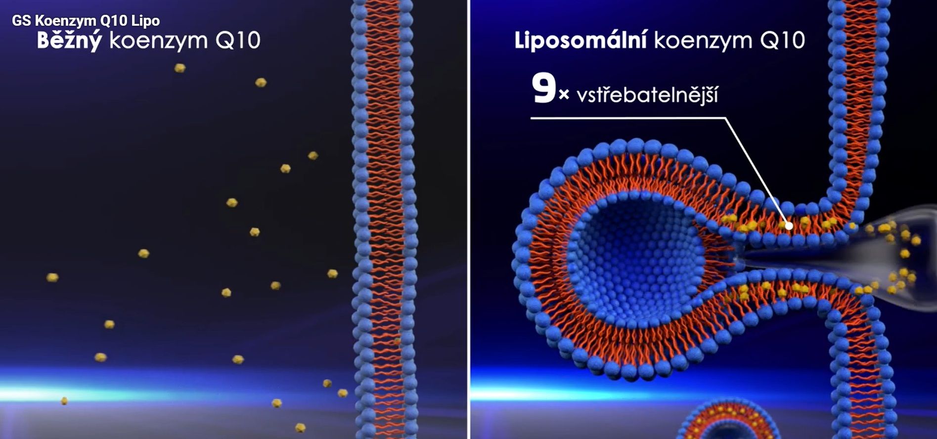 GS Koenzym Q10 Lipo