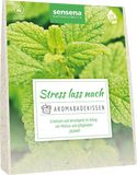 Accentra Aroma sáček - Zklidnění Sensena 60 g