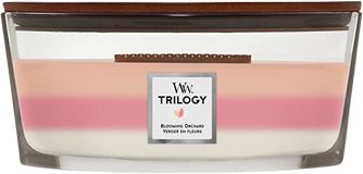 WoodWick Trilogy svíčka loď BlLOOMING ORCHARD 453.6 g
