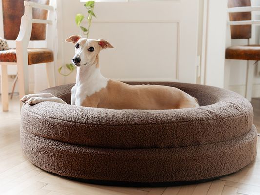 Explorer dog Pelech ortopedický Dognut Espresso Brown 76 cm